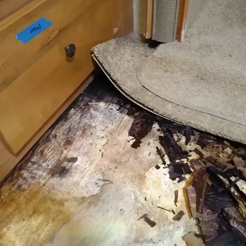 Best Wood Floor Water Damage Service in South Valley Stream, NY